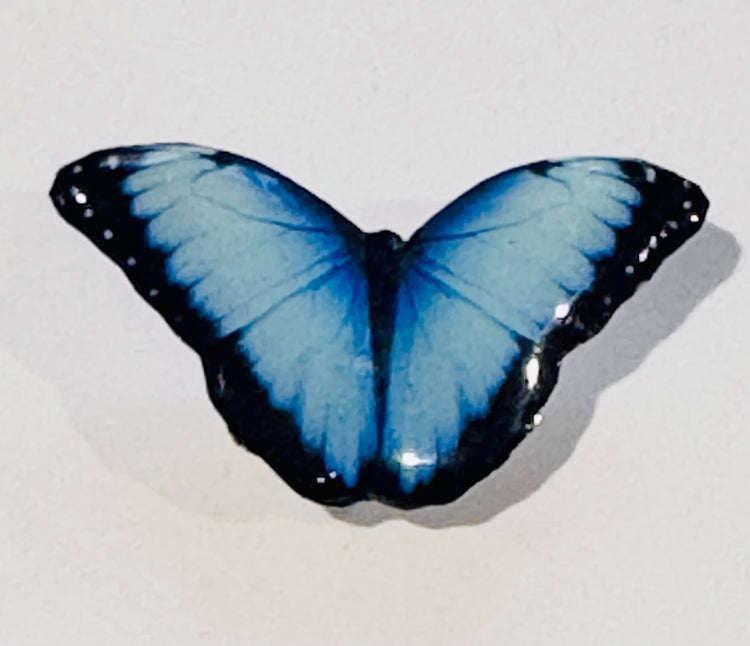 handmade Blue Morpho butterfly pin