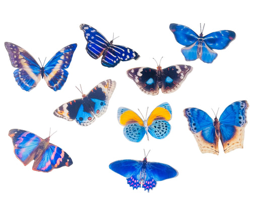 blue handmade butterfly 3d decor