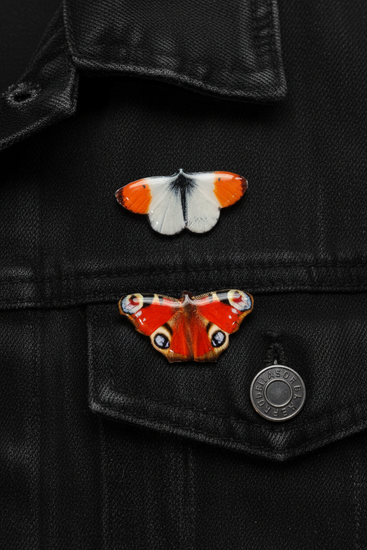Orange Tip butterfly jewellery 