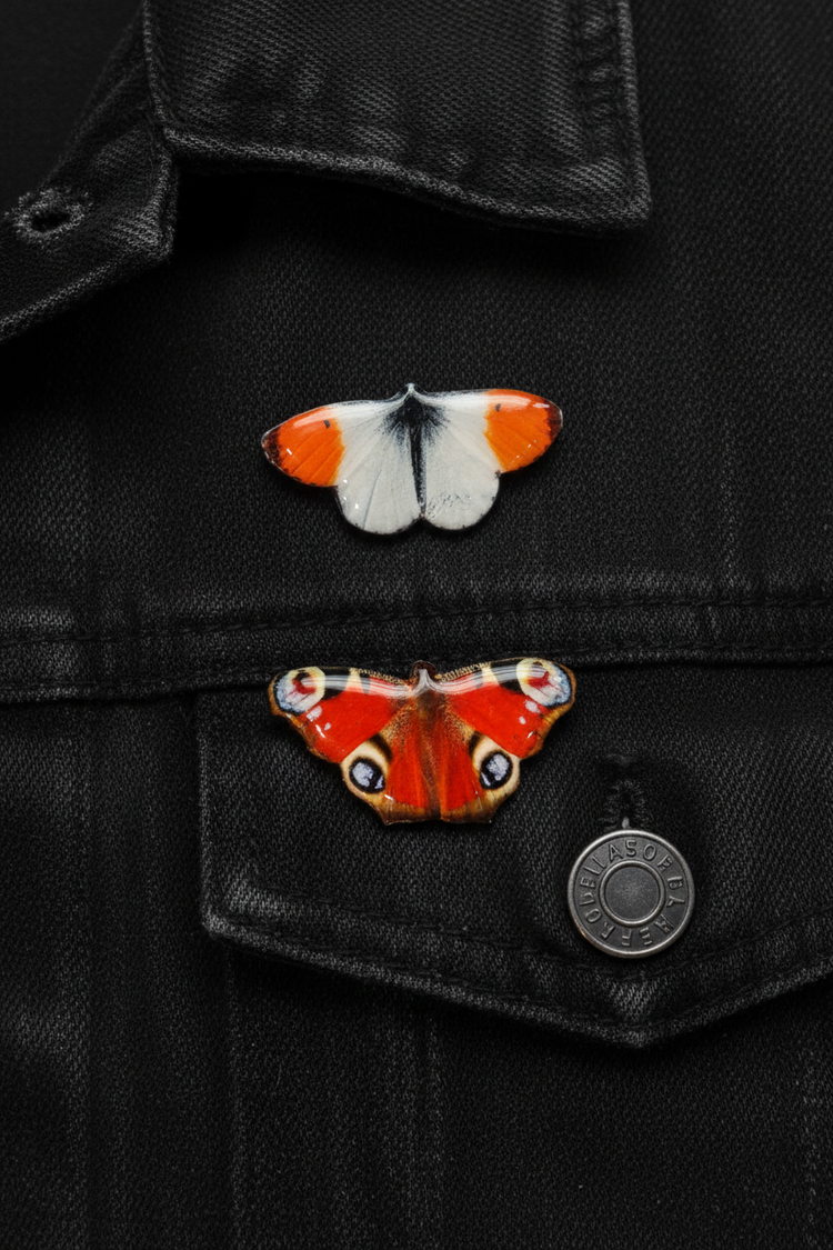 Orange Tip butterfly jewellery 