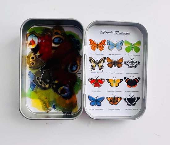 Personalised British Butterfly Gift Tin – Set  with 12 butterflies