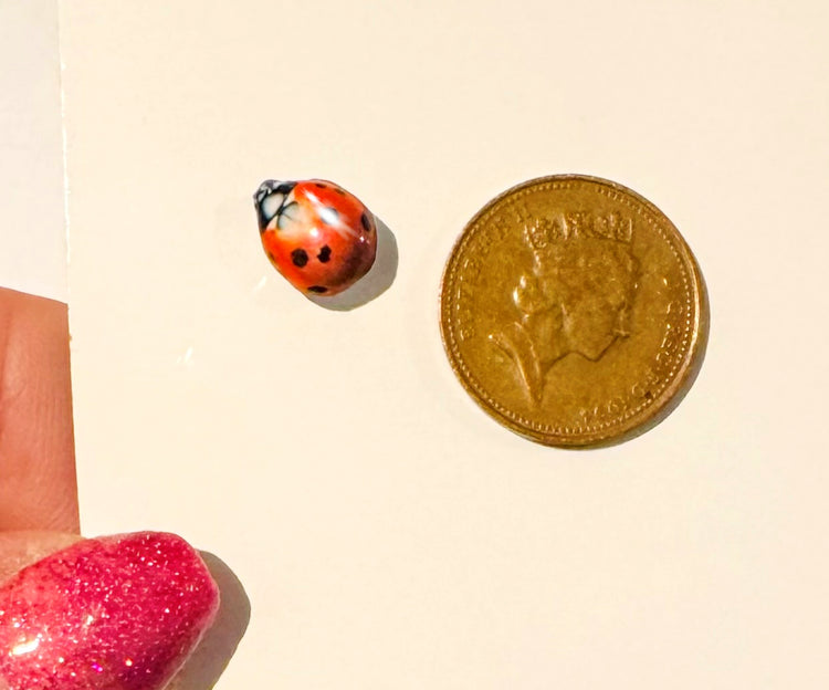 cute ladybird in badge lapel