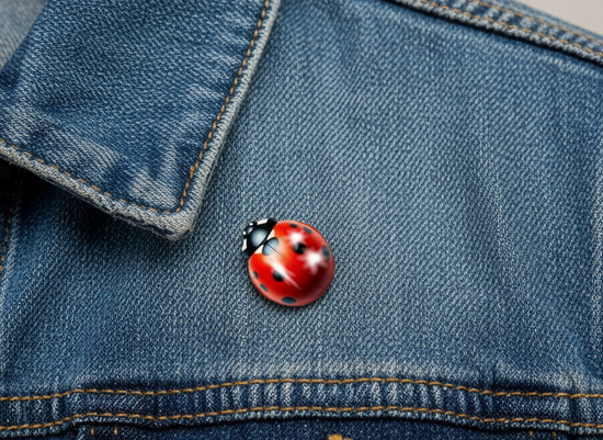 Lucky Ladybird Brooch Pin