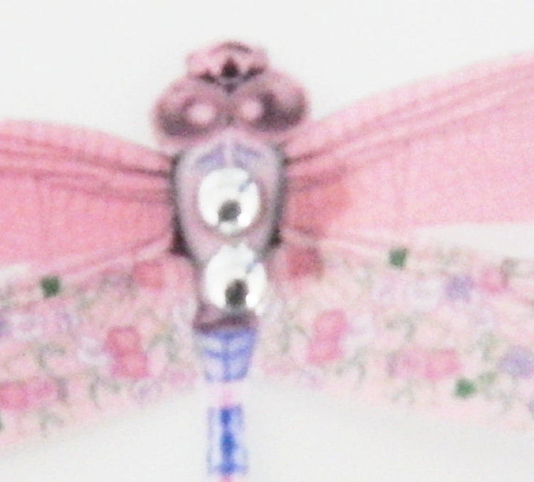 pretty pink dragonflies