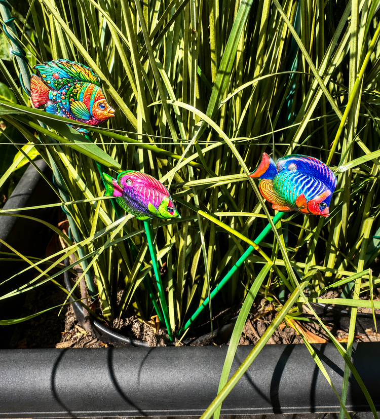 Tropical fish planter sticks unique