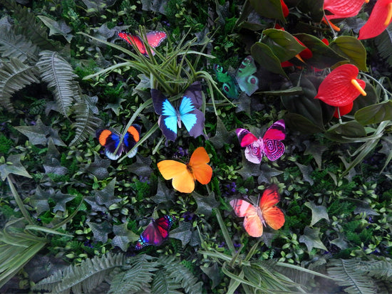 natural Tropical 3D butterflies