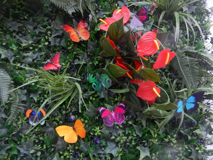 living wall butterflies for foliage