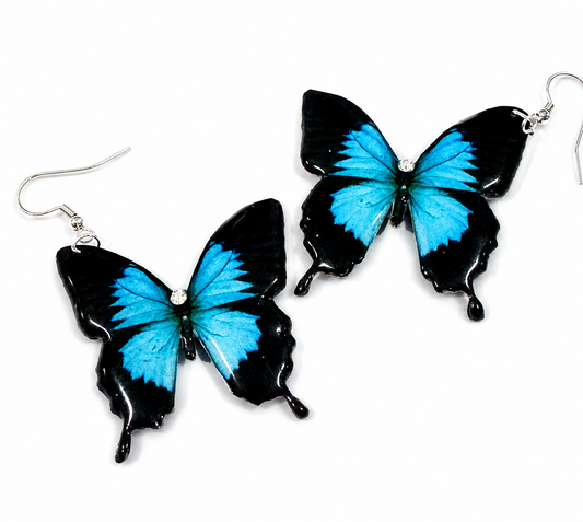 Turquoise Monarch butterfly earrings. Turquoise Butterfly drop Earrings