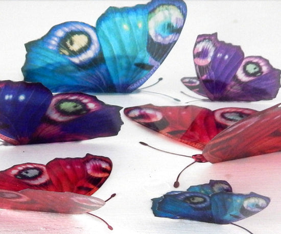 lots of colours buterfly decor 