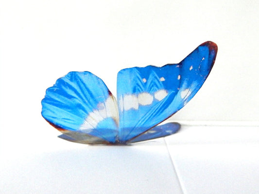 Blue butterfly for the wall 3d Natural Butterfly  wall sticker