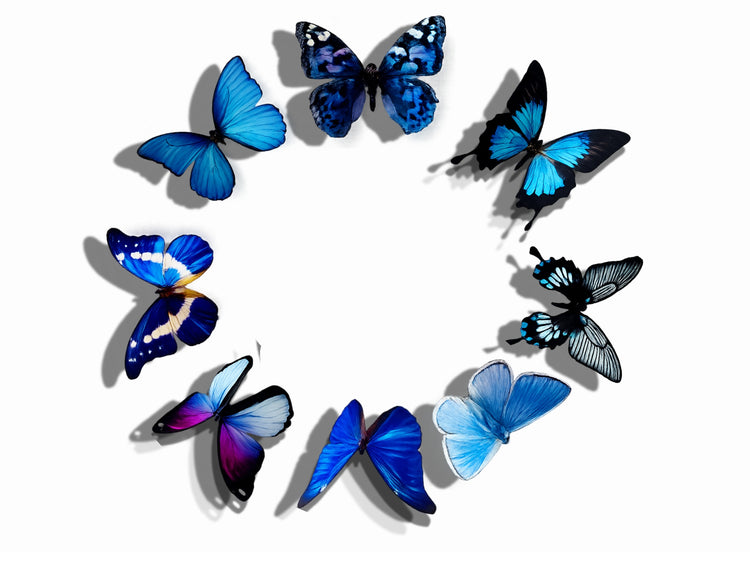 Wall Décor – Handmade Decorative Paper Butterflies – Wedding, Scrapbooking  Home Decoration