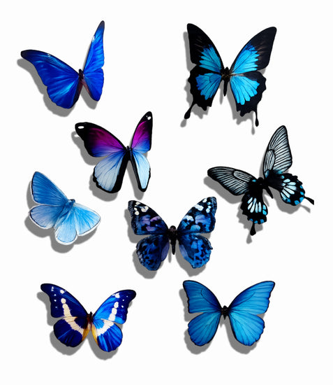 8 blue paper  3d butterflies Wall Décor – Handmade 