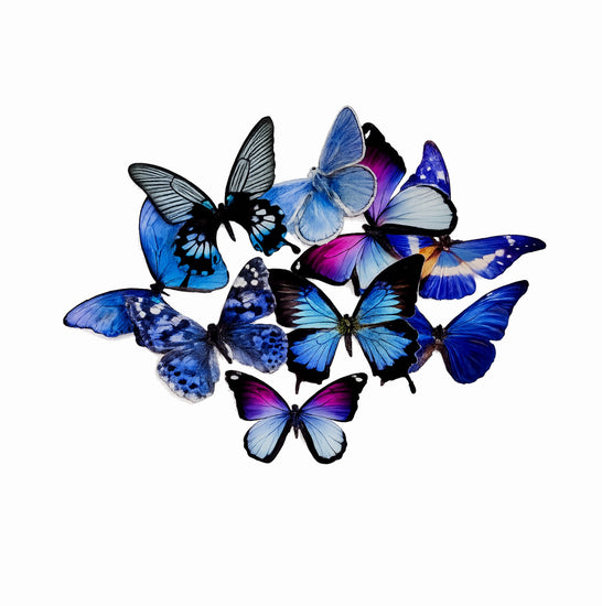 8 blue paper  large  3d butterflies Wall Décor – Handmade 