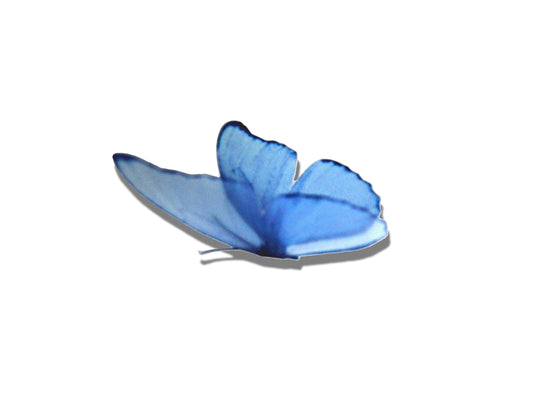ombre blue butterfly wall decor