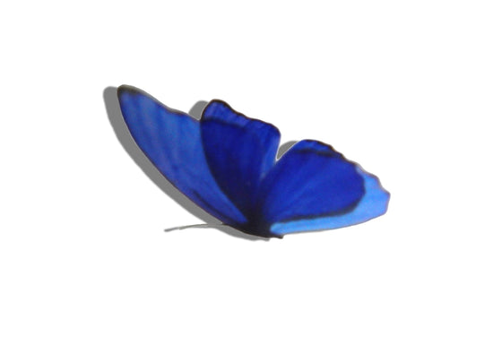 Blue butterfly handmade
