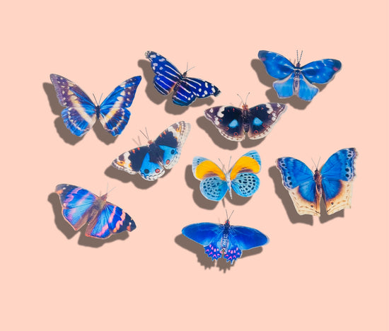 Blue 3d butterflies 