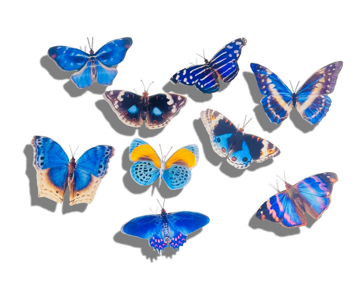 Blue 3d butterflies , set of 8