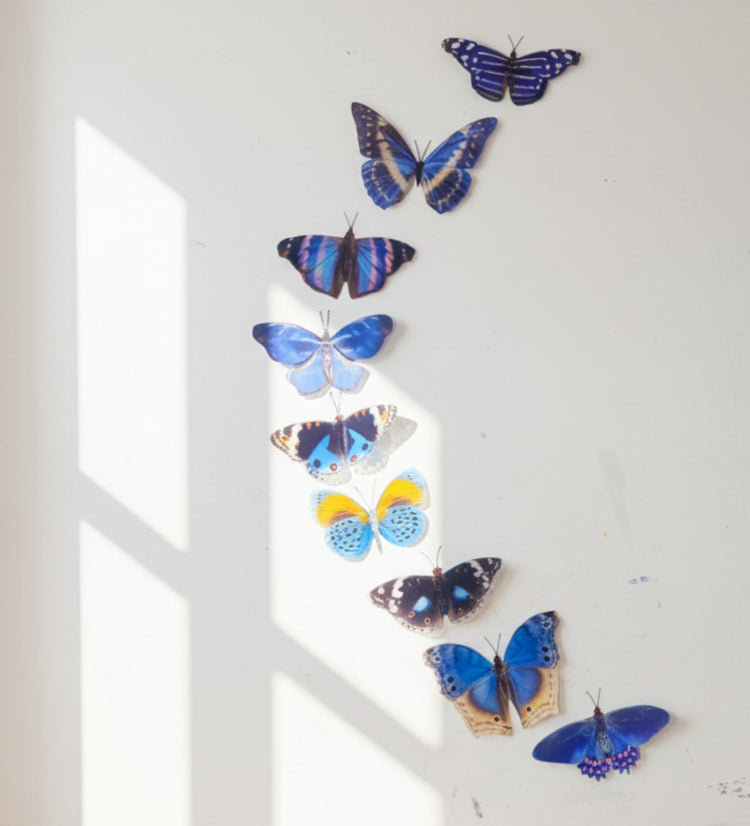 Blue 3d butterflies , set of 8 for walls