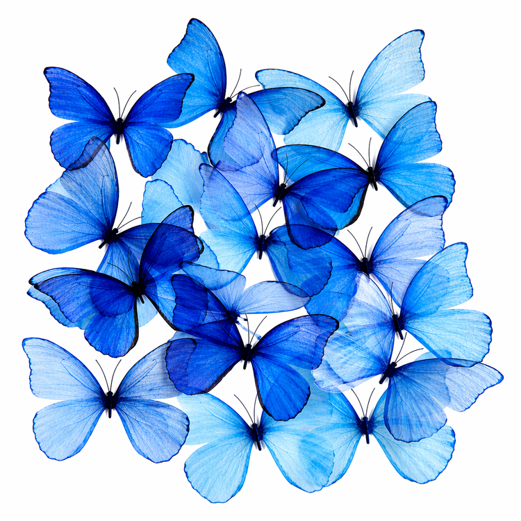 blue butterfly decor handmade