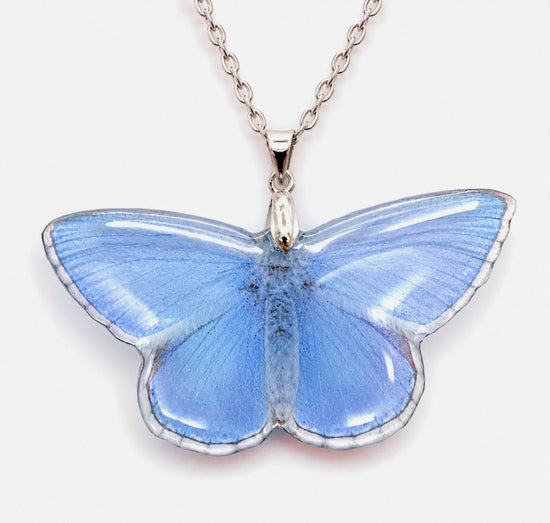 Adonis Blue butterfly Resin translucent butterfly necklace