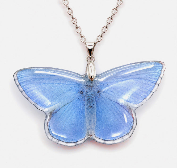 Adonis Blue butterfly Resin translucent butterfly necklace