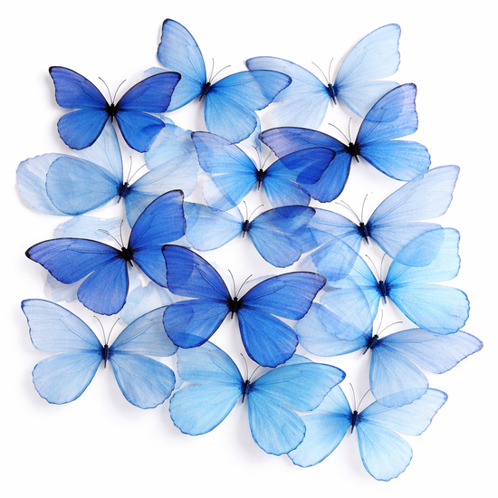 aesthetic room decor
delicate wall decor