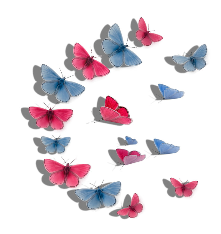 blue and pink butterfly wall decor handmade