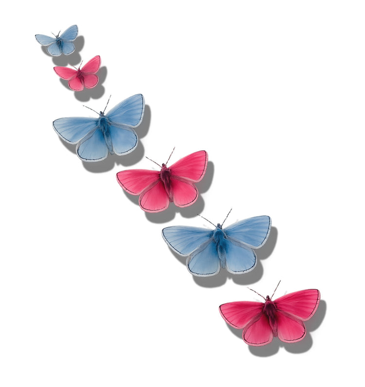 blue and pink  pretty butterfly wall decor