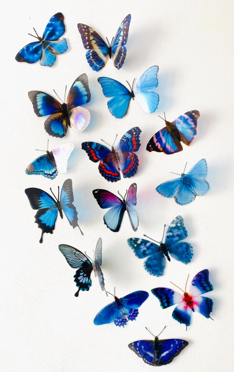 set of 12 blue butterflies