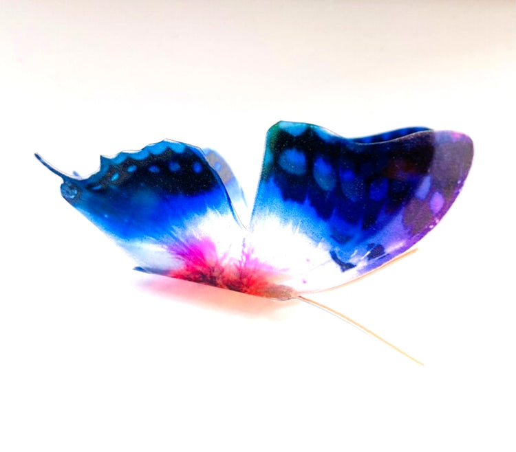 set of 12 blue butterflies for decor