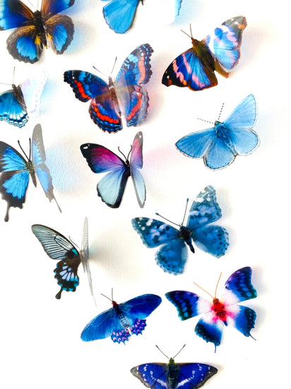 12 blue butterflies for cake decorating