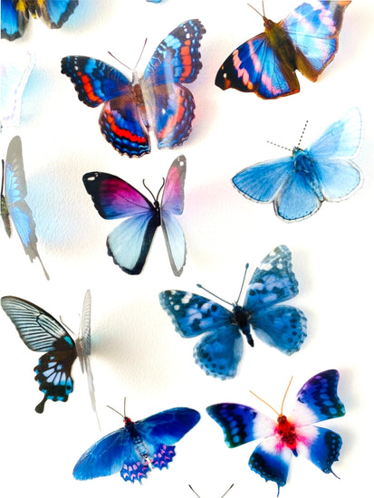 blue butterflies for cake scrapbooking
