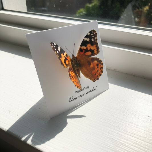 3d pop up butterfly birthday card