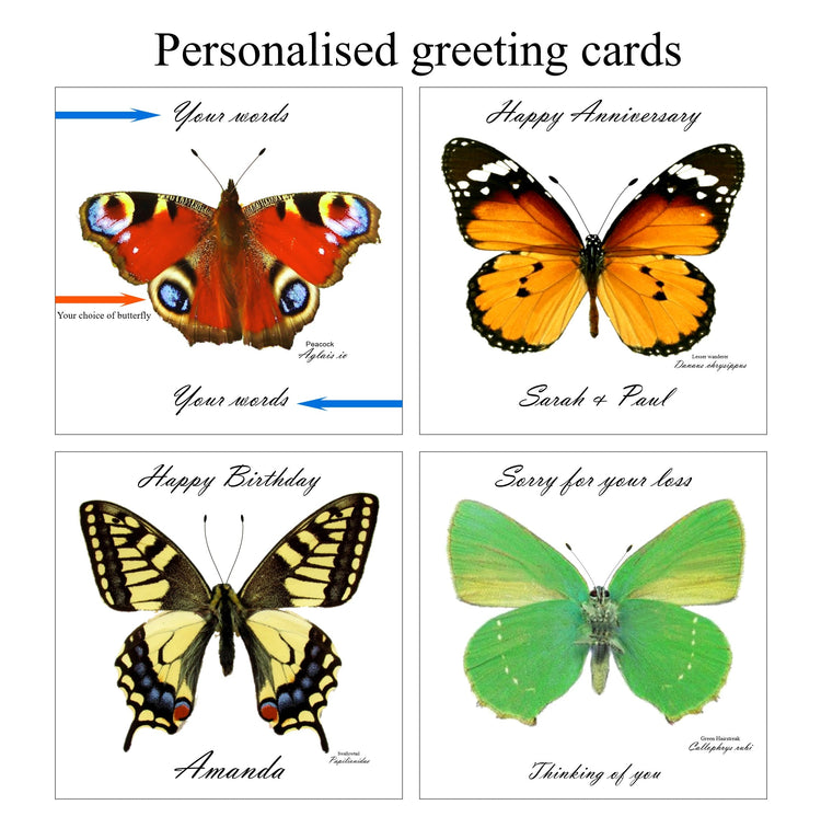 Personalised butterfly cards you choose