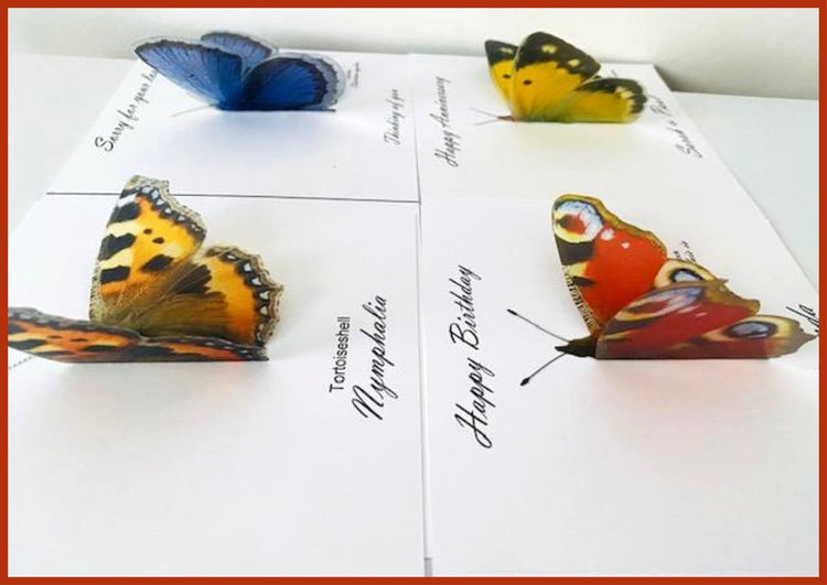 3d natural faux buterflies by Flutterframes