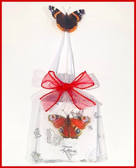 pack of 6 gift  Butterfly blank cards