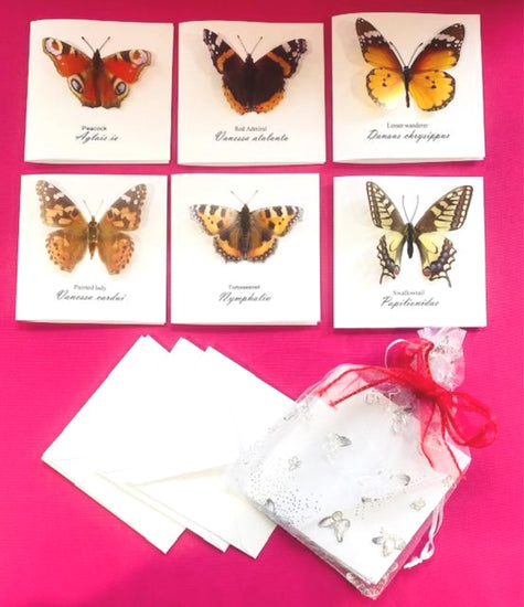  3d pop up Butterfly blank cards