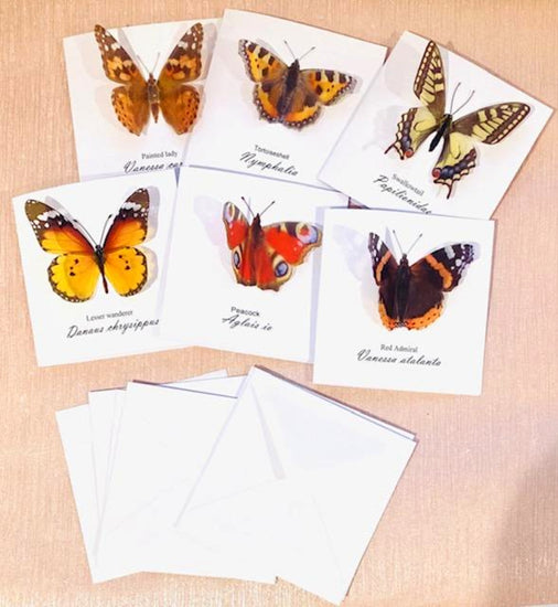 3d pop up Realistic Butterfly notelets