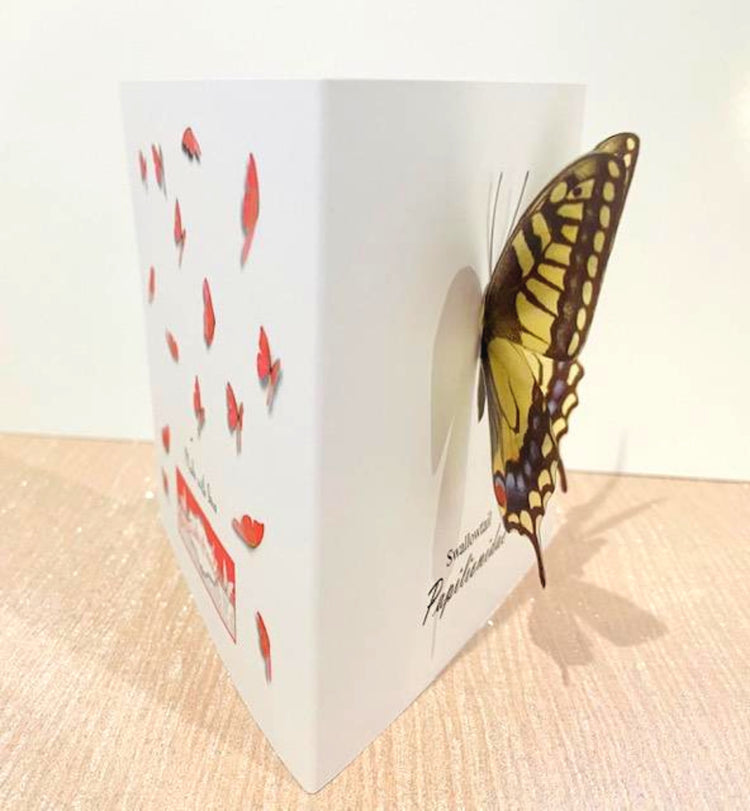 Swallowtail 3d Butterfly notelets
