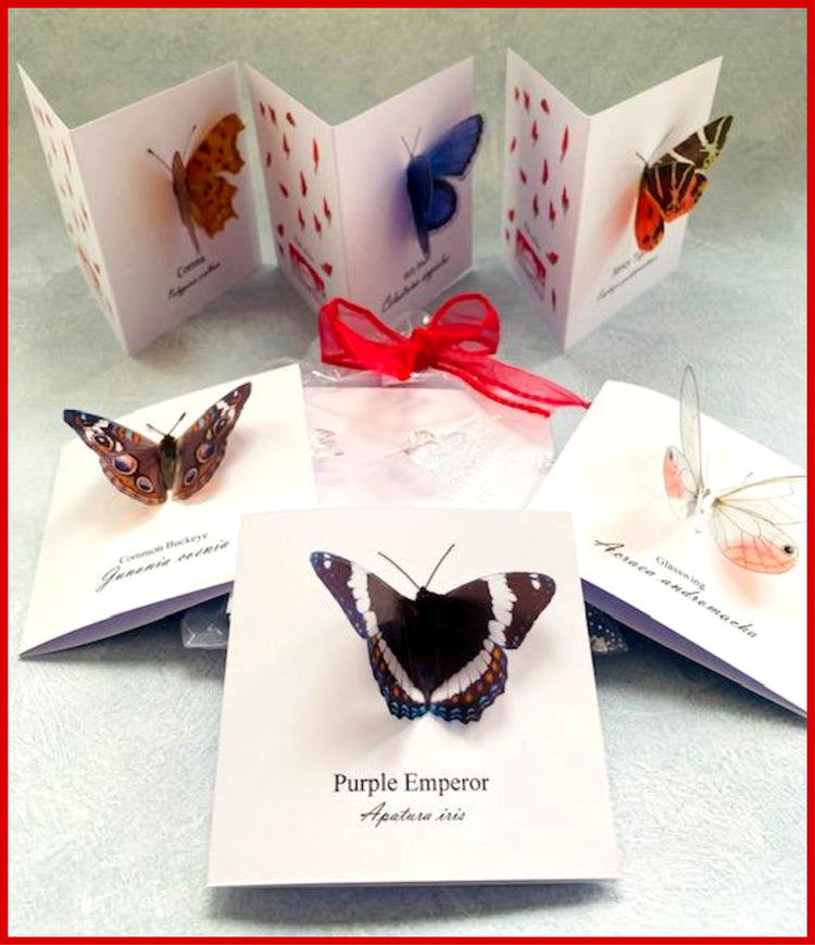 3d butterfly pop up cards Purple Emperor