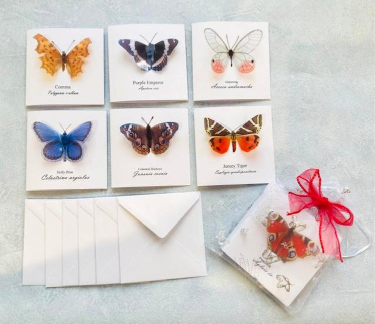3d butterfly pop up blank cards