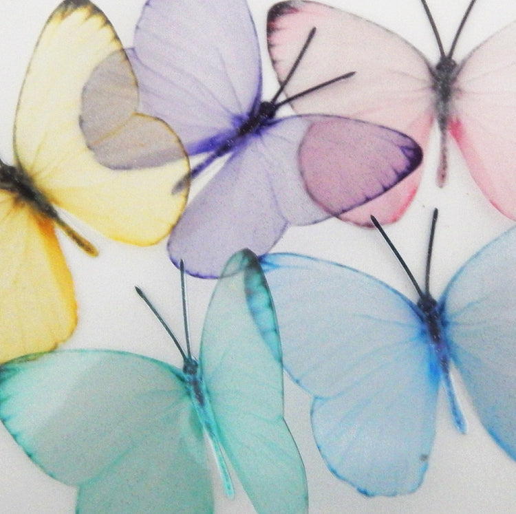 Personalized Beautiful pastel butterflies for Christening or new born baby
