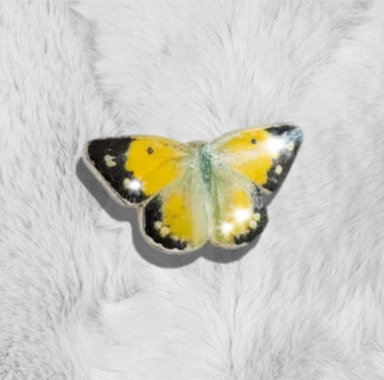 British butterflies. Clouded Yellow Enamel pin lapel brooch