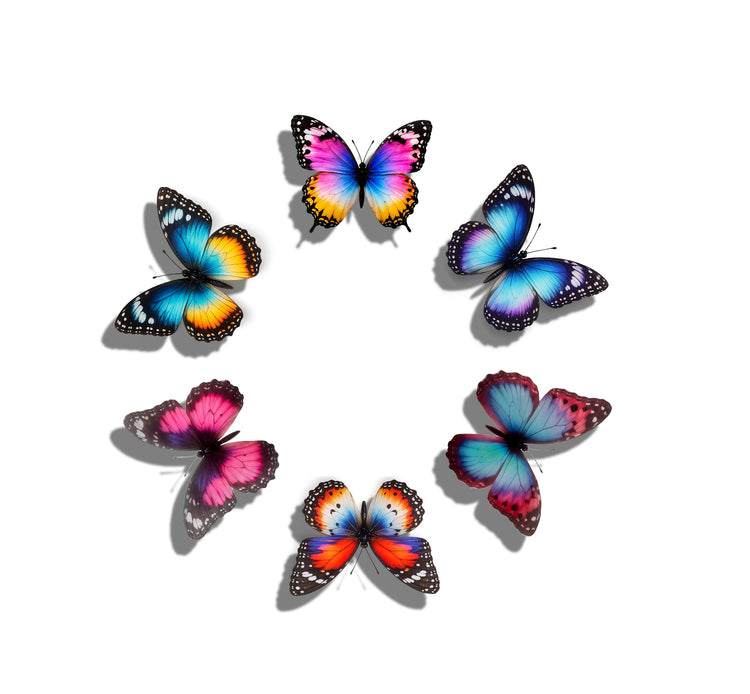 Set of Colourful butterflies . Handcrafted