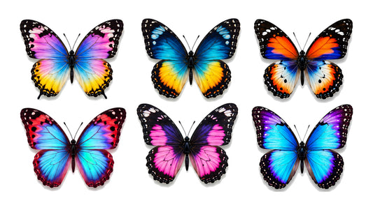 Set of Colourful butterflies . Handcrafted