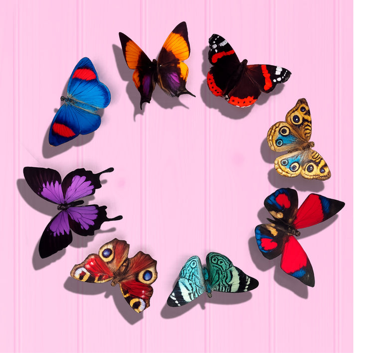 countryside butterfly  wall decor