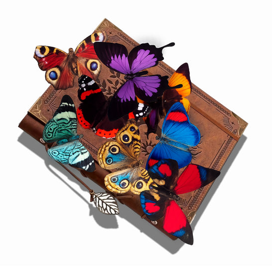 bright  paper butterflies for crafts