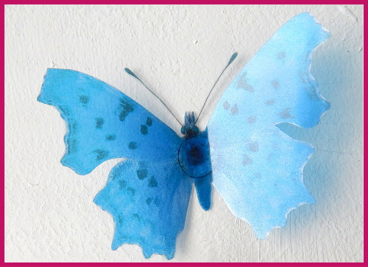 bright blue Comma butterfly Polygonia c-album