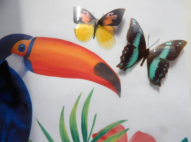 Tropical artificial butterflies collection