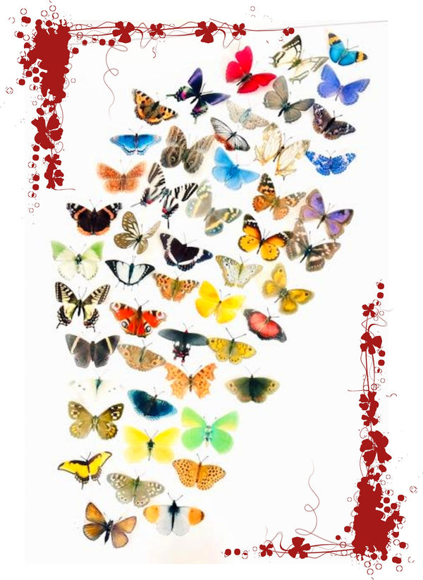 50 Butterflies. Display of realistic 3d butterflies,Wedding Embellishm ...